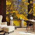Autumn Radiance Mural Wallpaper - room preview 04
