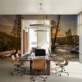 Snow Melting At Lake Tahoe Mural Wallpaper - room preview 04