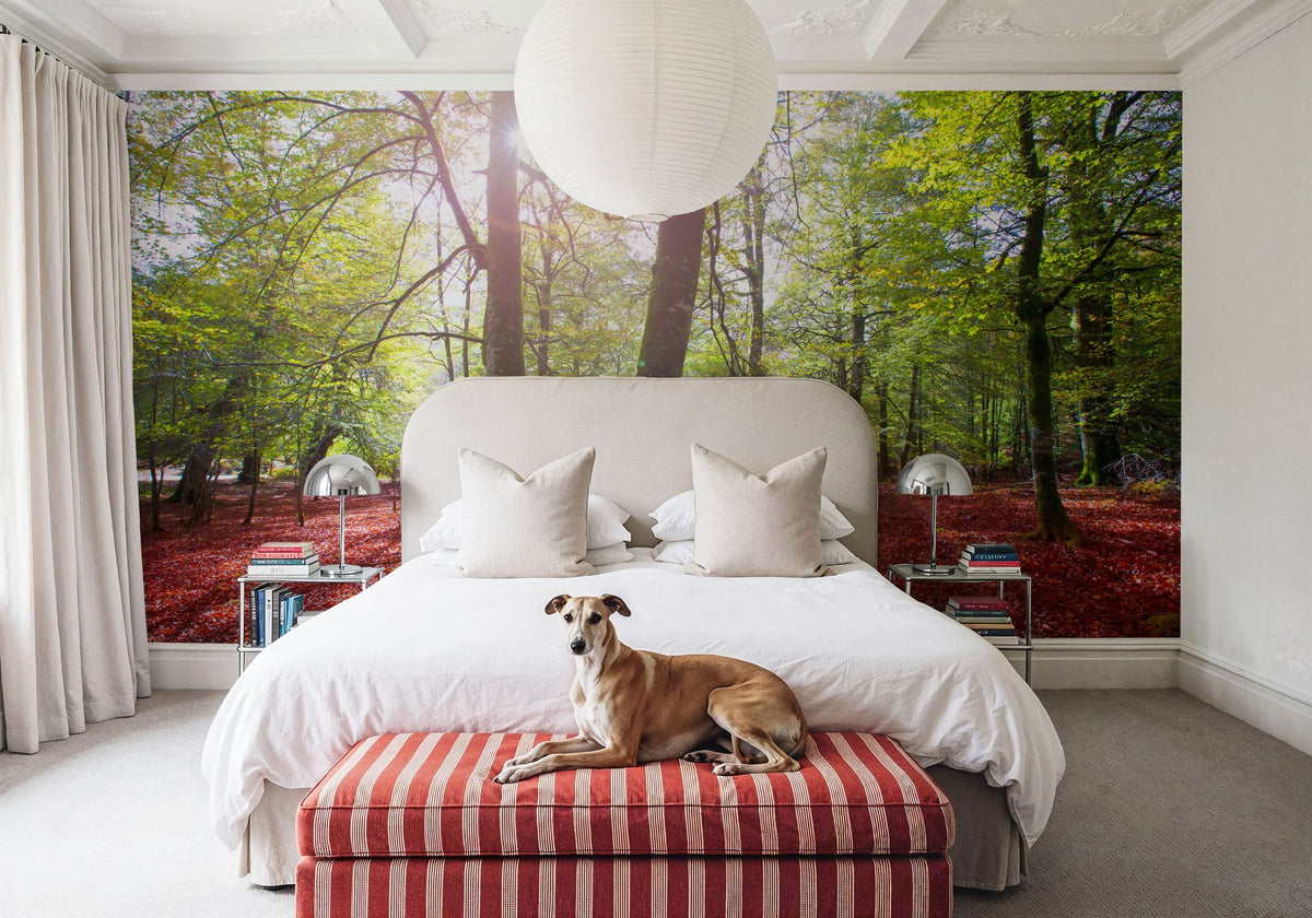 Pyrenees Fall Mural Wallpaper - room preview 04