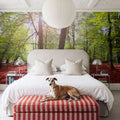Pyrenees Fall Mural Wallpaper - room preview 04