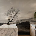Wanaka Tree Mural Wallpaper - room preview 04