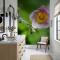 Autumn Anemone Mural Wallpaper - room preview 04