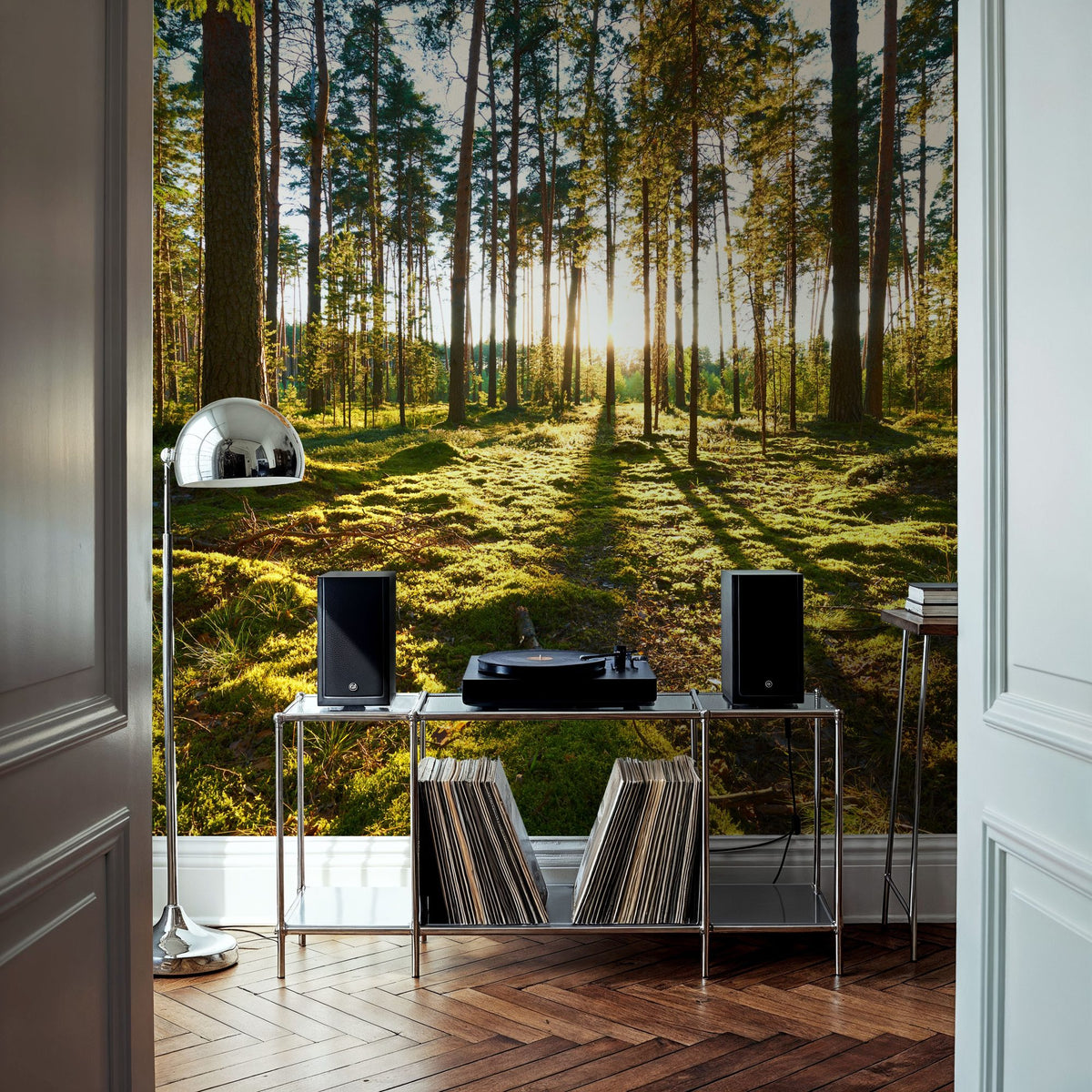 Pine Forest Sunrise Mural Wallpaper - room preview 04