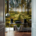 Pine Forest Sunrise Mural Wallpaper - room preview 04