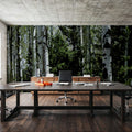 Luminous Birch Mural Wallpaper - room preview 04