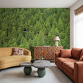 Evergreen Forest in Washintong State Mural Wallpaper - room preview 04