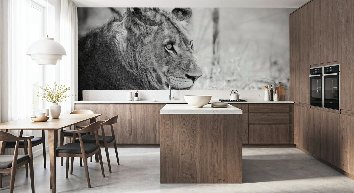 Young Lion BW Mural Wallpaper - room preview 04