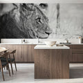 Young Lion BW Mural Wallpaper - room preview 04