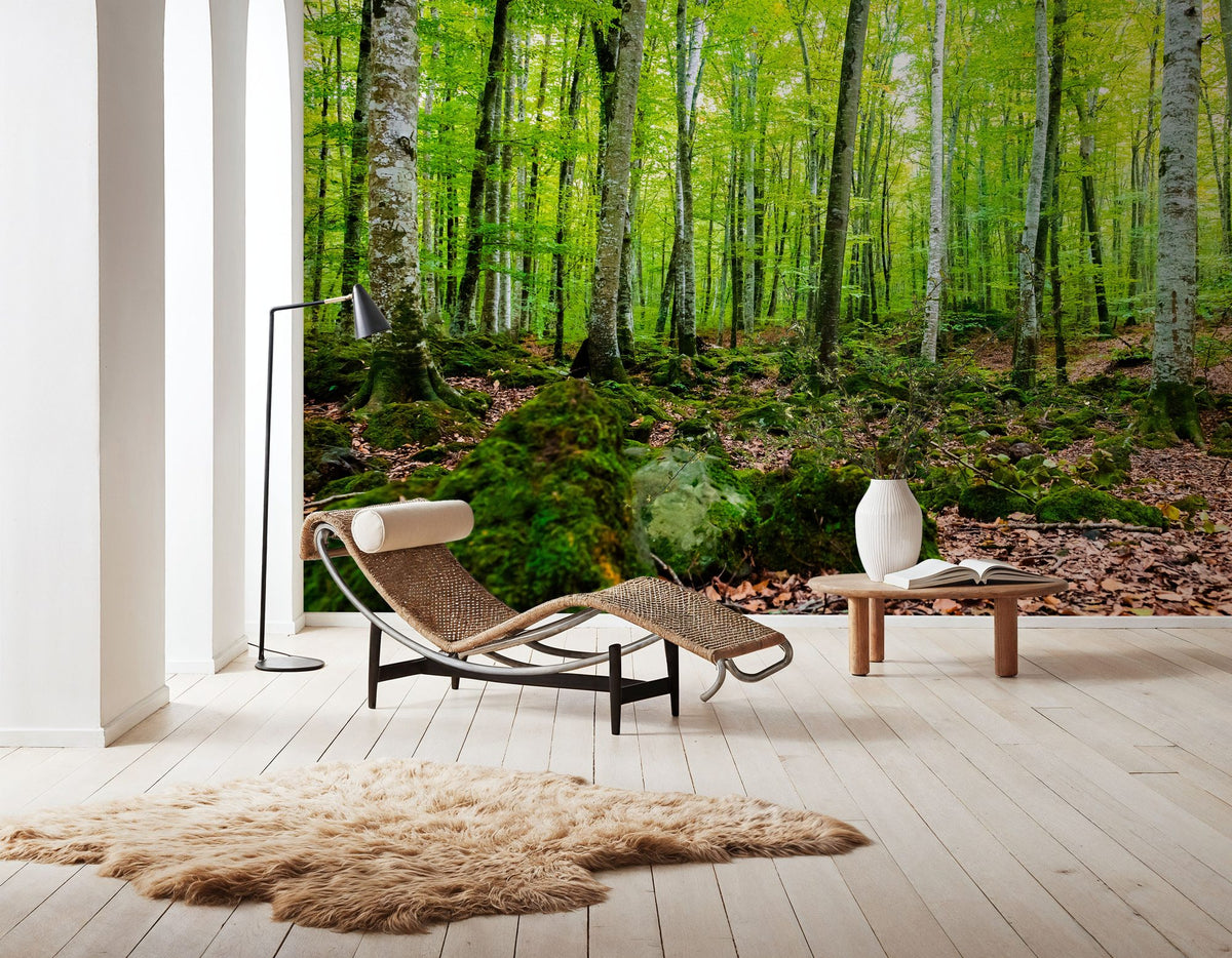 Intense Birch Wood Mural Wallpaper - room preview 04