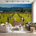 Vineyard Symmetry Mural Wallpaper - room preview 04