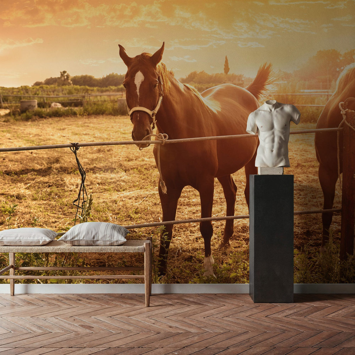 Sunset Companions Mural Wallpaper - room preview 04