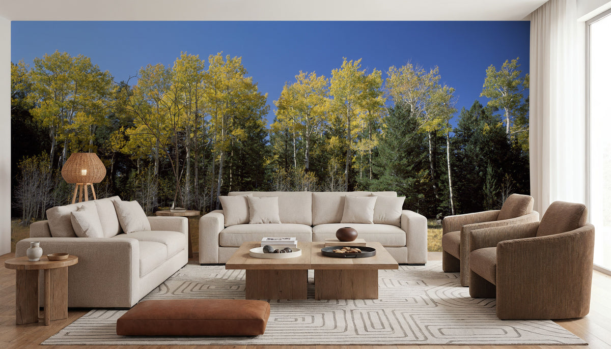 Autumn Forest Glow Mural Wallpaper - room preview 04