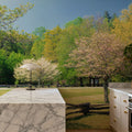 Davidson River Campground Mural Wallpaper - room preview 04