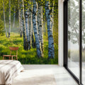 Young Birches Mural Wallpaper - room preview 04
