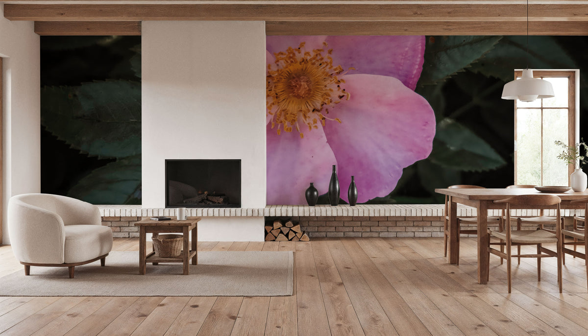 Wild Rose II Mural Wallpaper - room preview 04