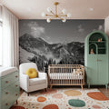 Olympic Mountains Mural Wallpaper - room preview 04