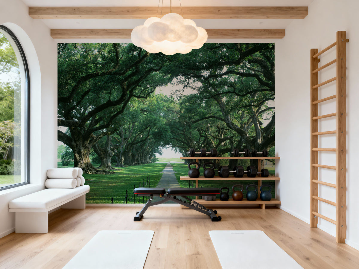 Ancient Oak Avenue Mural Wallpaper - room preview 04
