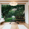 Ancient Oak Avenue Mural Wallpaper - room preview 04