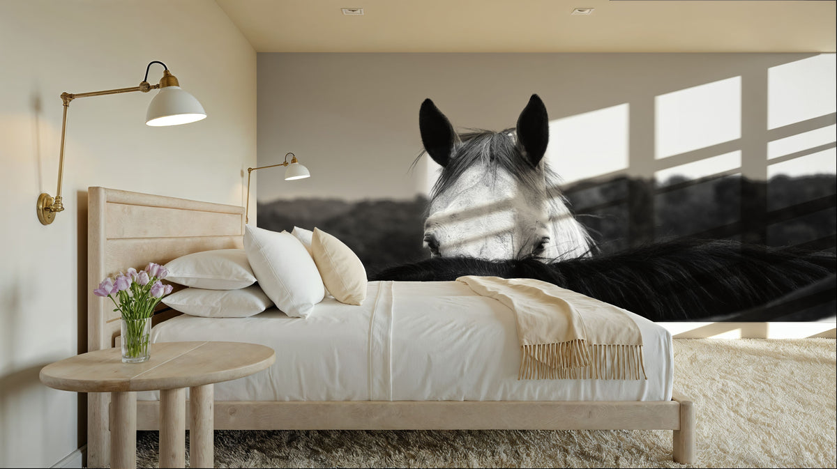 Hello There Mural Wallpaper - room preview 04