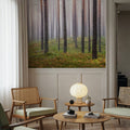 Hide and Seek Forest Mural Wallpaper - room preview 04