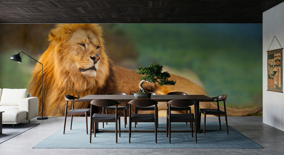 Lion Rest Mural Wallpaper - room preview 04