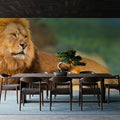 Lion Rest Mural Wallpaper - room preview 04