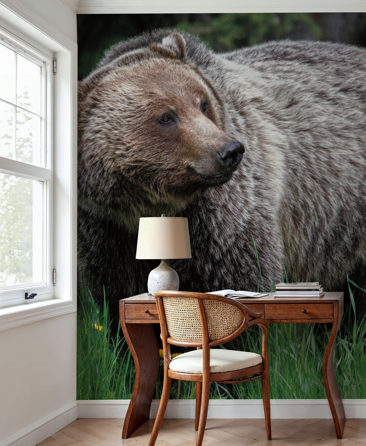 British Columbia Grizzly in a Field Mural Wallpaper - room preview 04