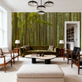 Ancient Trees Mural Wallpaper - room preview 04