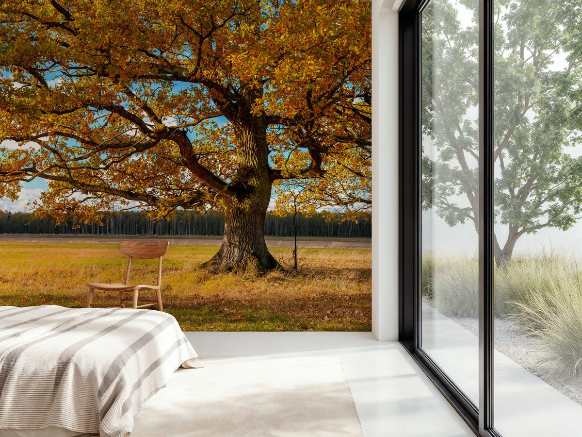 Golden Fall Tree Afternoon Mural Wallpaper - room preview 04
