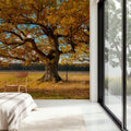 Golden Fall Tree Afternoon Mural Wallpaper - room preview 04