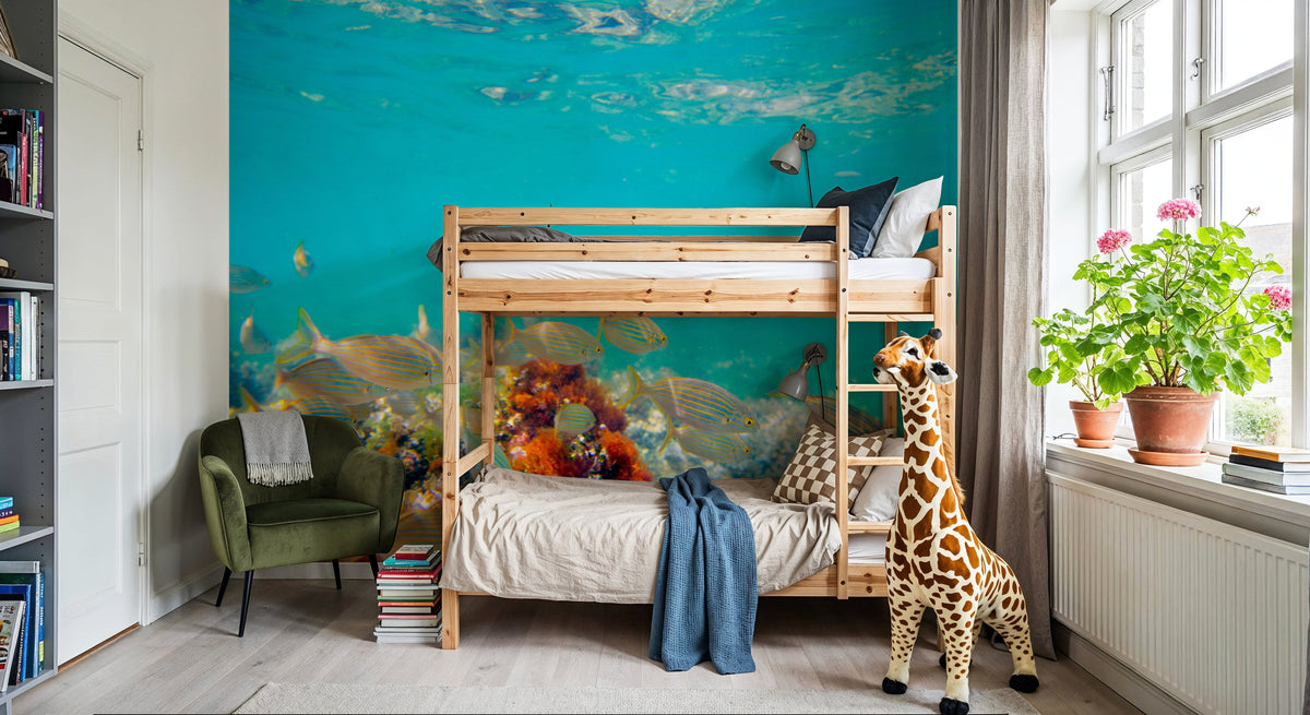 Salema Fish Mural Wallpaper - room preview 04