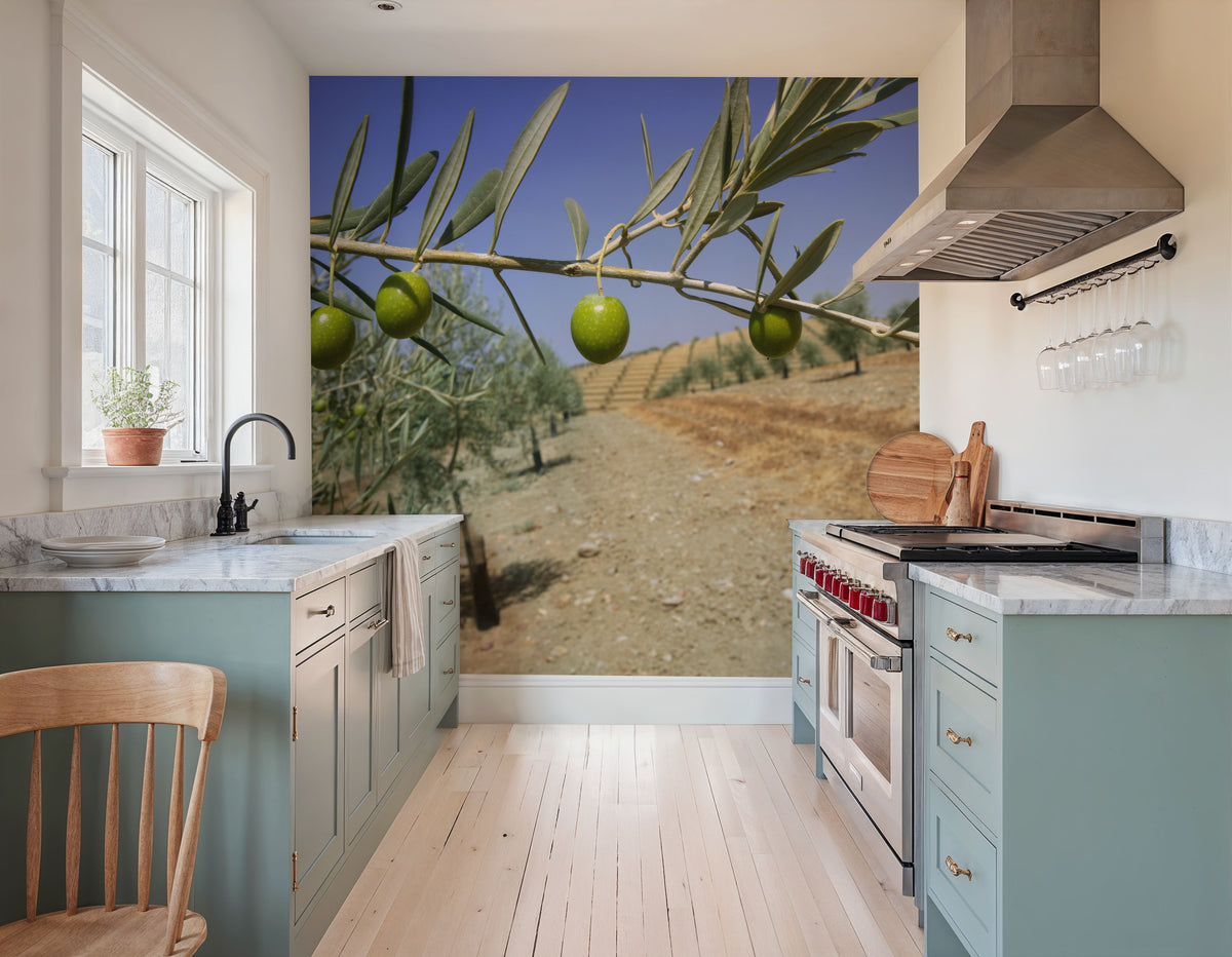 Olive Field Mural Wallpaper - room preview 04
