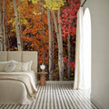 Autumn Aspen Grove Mural Wallpaper - room preview 04