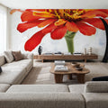 Wonderful Wildflowers IX Mural Wallpaper - room preview 04