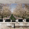 Blossoming Symmetry Mural Wallpaper - room preview 04
