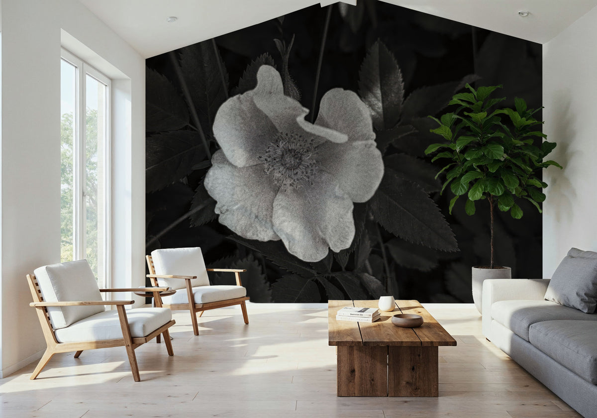 Wild Rose BW III Mural Wallpaper - room preview 04