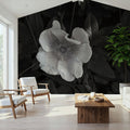 Wild Rose BW III Mural Wallpaper - room preview 04