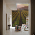 Napa Sunset Mural Wallpaper - room preview 04