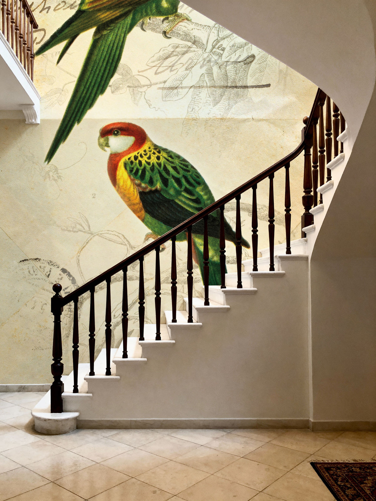 Pretty Bird III Mural Wallpaper - room preview 04