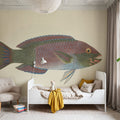 Parrotfish Mural Wallpaper - room preview 04