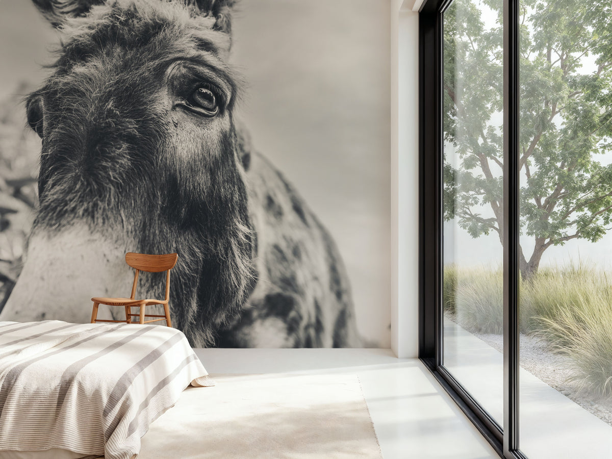 Donkey Pasture BW Mural Wallpaper - room preview 04