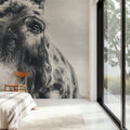 Donkey Pasture BW Mural Wallpaper - room preview 04