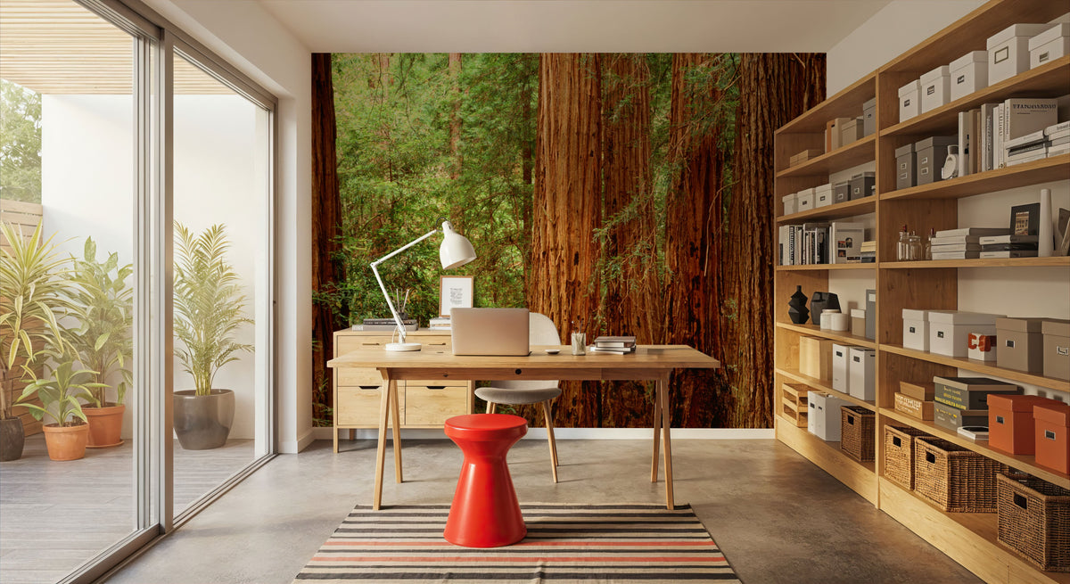 Ancient Timber Glow Mural Wallpaper - room preview 04