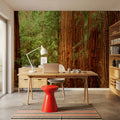 Ancient Timber Glow Mural Wallpaper - room preview 04