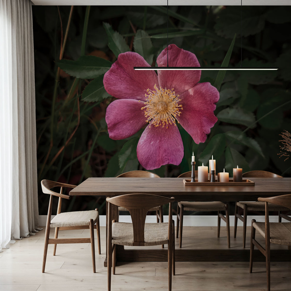 Wild Rose IV Mural Wallpaper - room preview 04