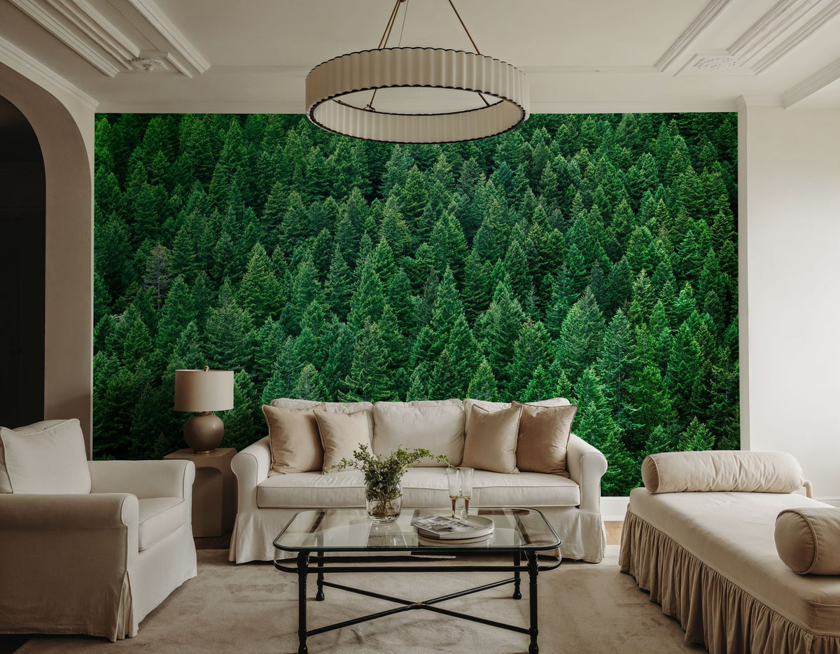 Olympic National Forest, Washington State Mural Wallpaper - room preview 04