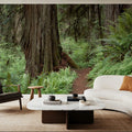 Primeval Forest Path Mural Wallpaper - room preview 04