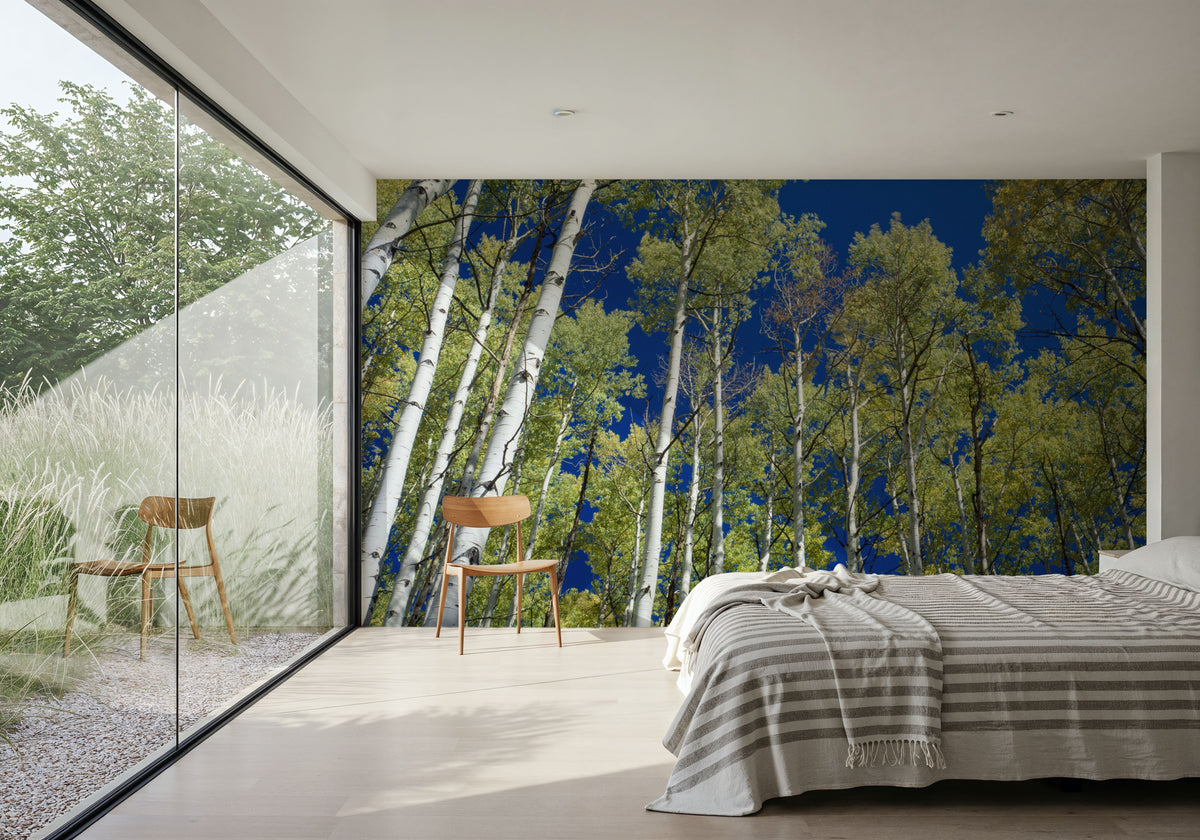 Cobalt Birch Forest Mural Wallpaper - room preview 04