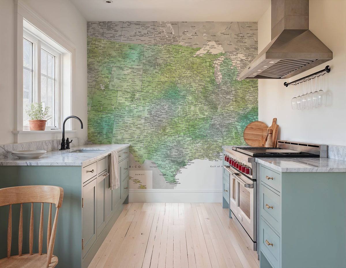 US Map Detailed - Oriole Mural Wallpaper - room preview 04