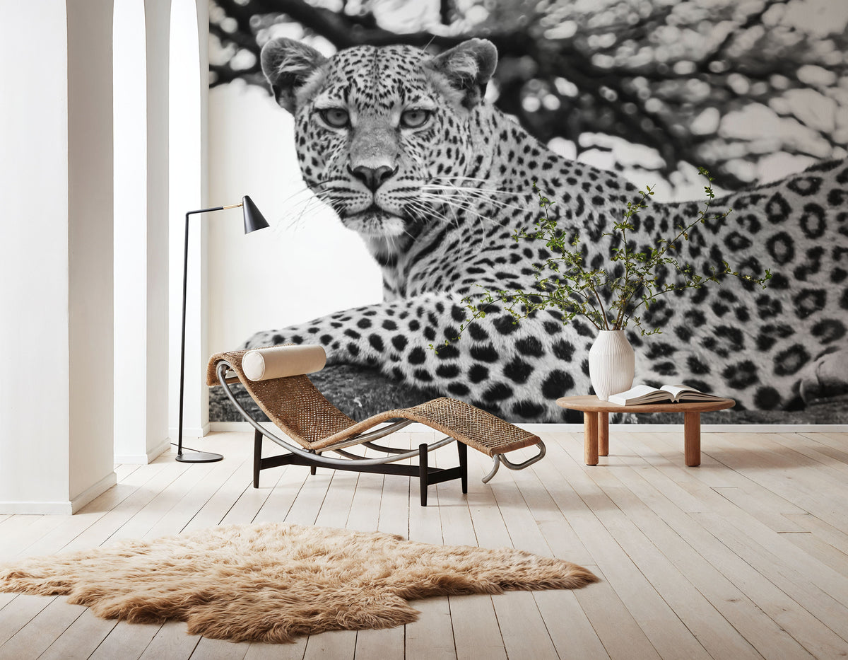 Lounging Leopard Neutral Mural Wallpaper - room preview 04
